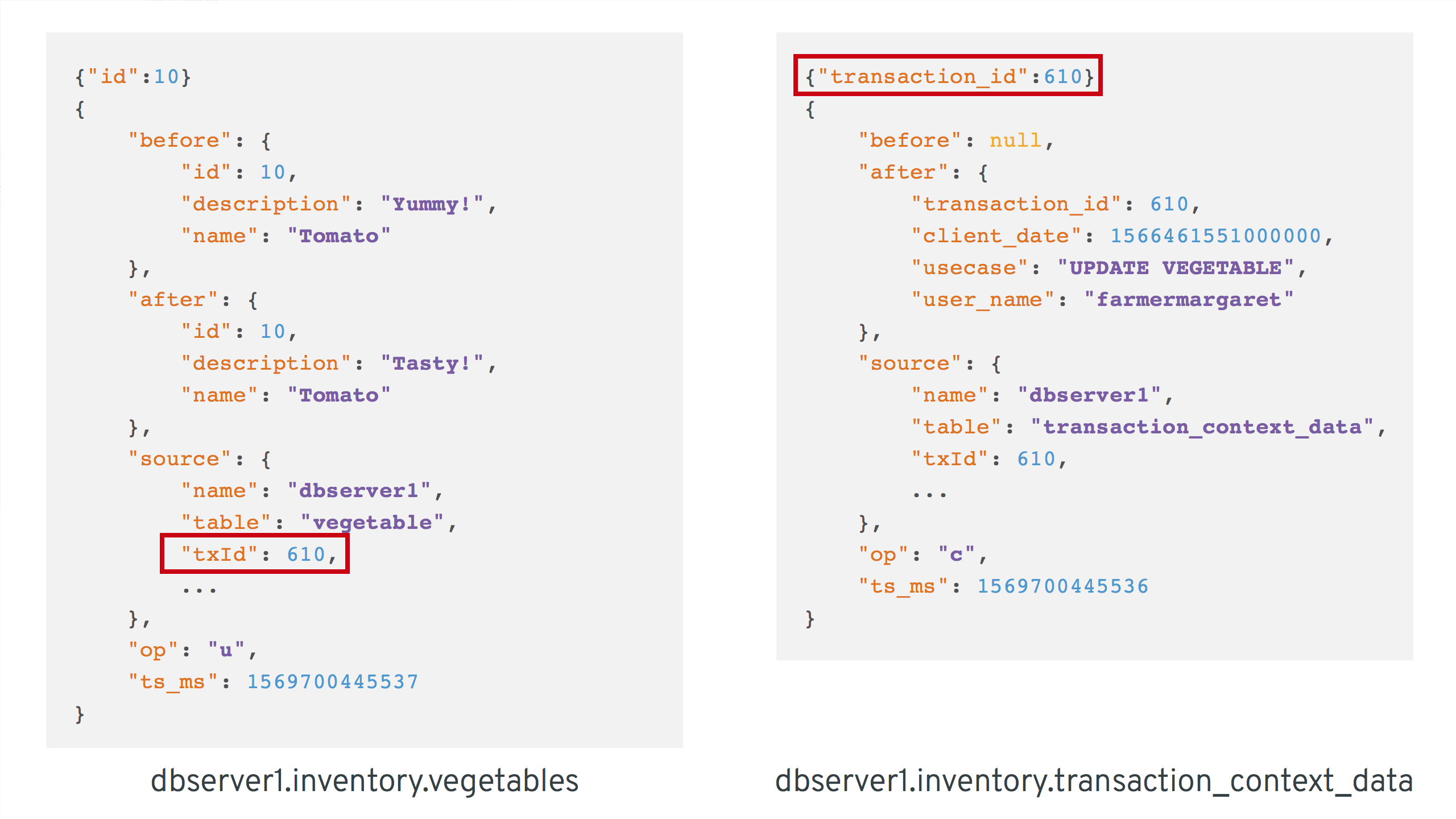 Vegetable and Transaction Metadata Messages